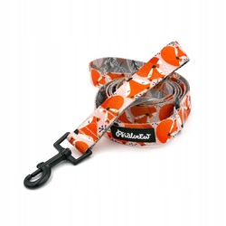 Levně Vodítko pro psa s liškami, 160 cm