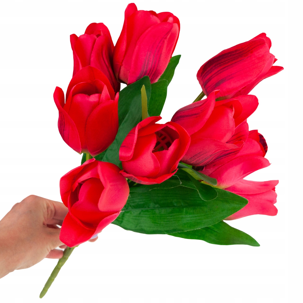 

Tulipany Bukiet Tulipanów Tulipan Liście Duży XXL