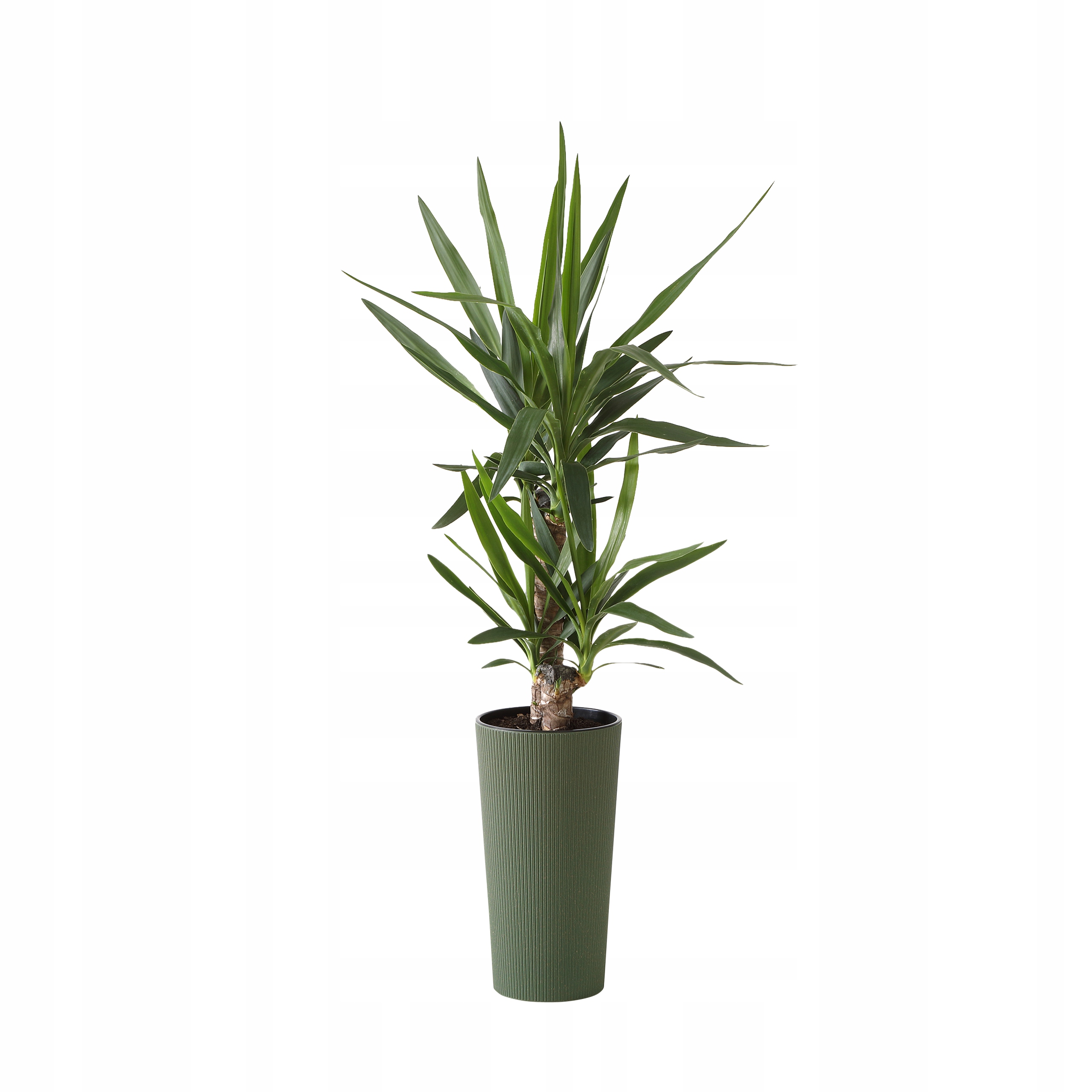 

Donica Lilia Eco Jumper śr. 30cm wkład