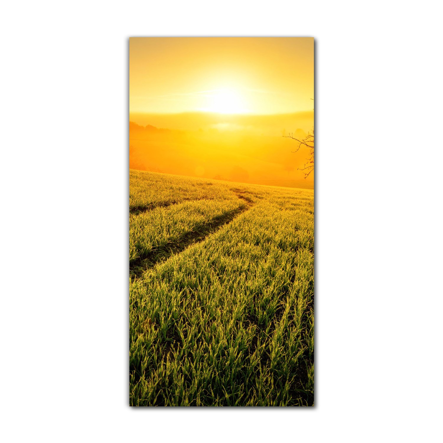 

Obraz szklany grafika do salonu 70x140 Łąka natura