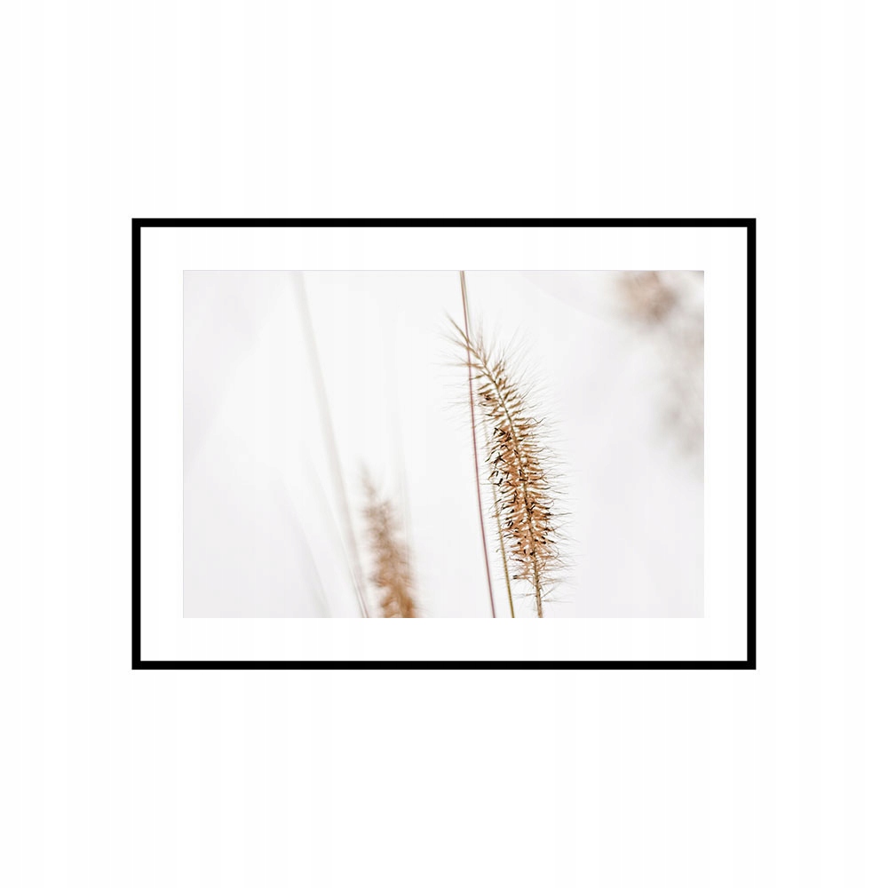 Plakat zdjęcie obraz 40x30 A3 boho suche trawy ozdobne P11