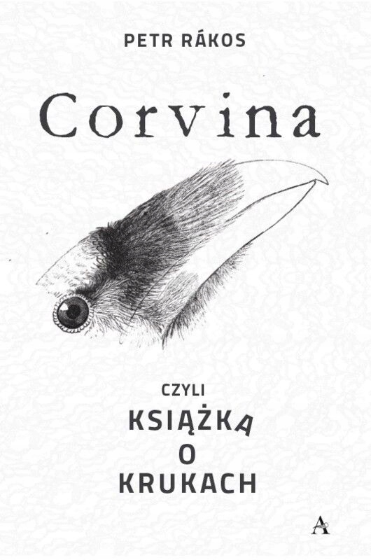 Corvina, Czyli Książka O Krukach