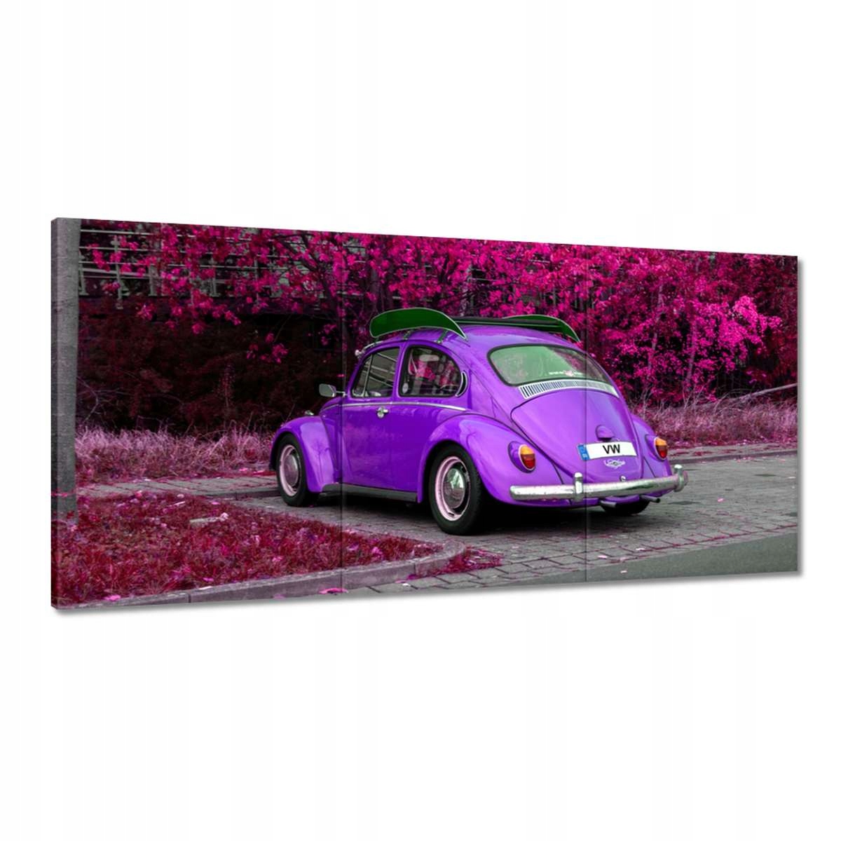 Obrazy 120x60 Garbus Volkswagen Vw Auto