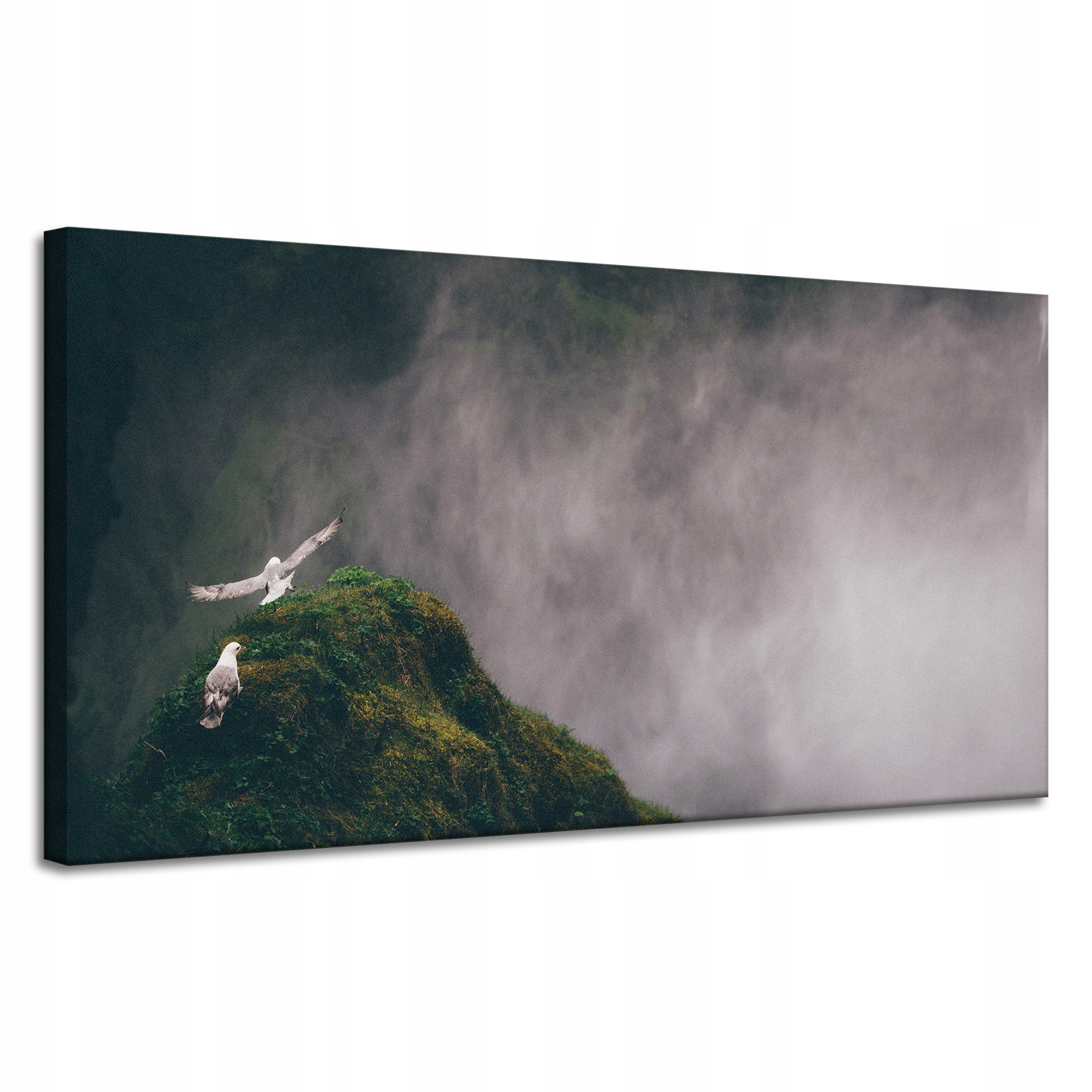 Obraz na plátně Příroda Z ptačí perspektivy Mlha 120x60