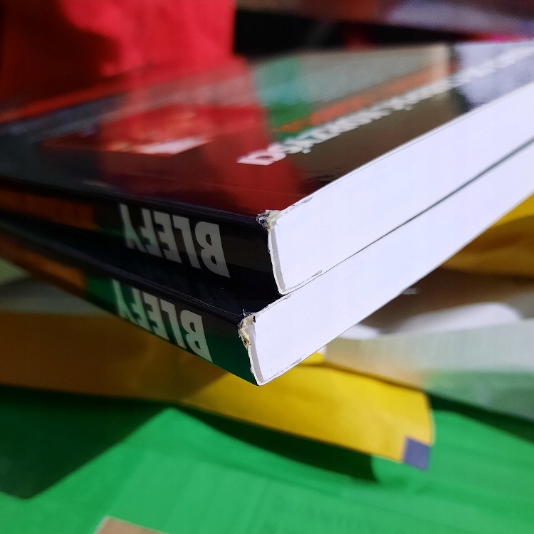 Książka BLEFY J. Little A. Hart POKER PL Nośnik książka papierowa