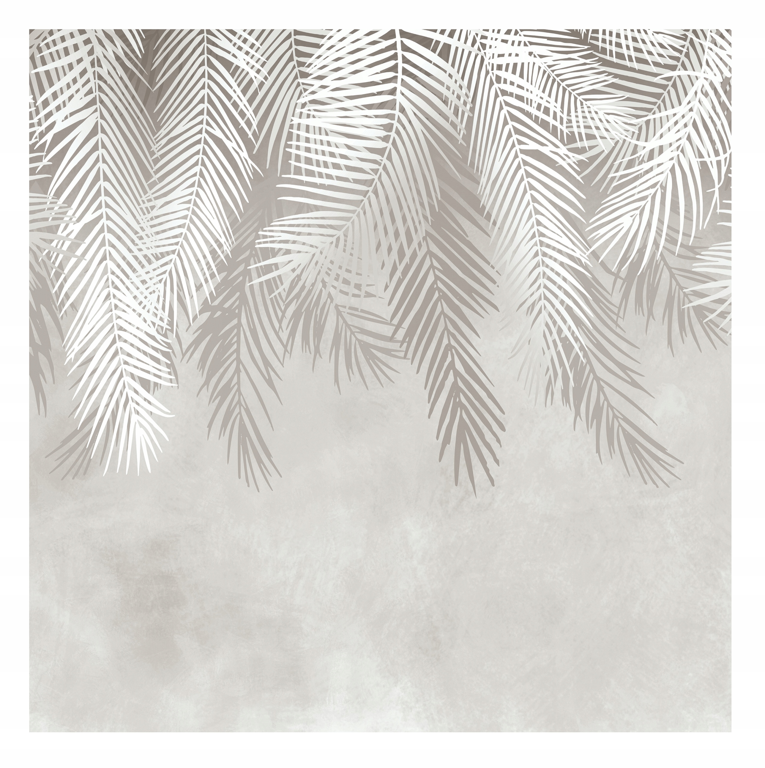 

Fototapeta Liście Palmy Na Wymiar Do salonu + Klej