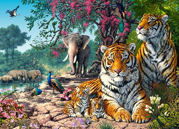 

Puzzle 300 Zwierzęta Kotki Koty Tygrysy Castor 8+