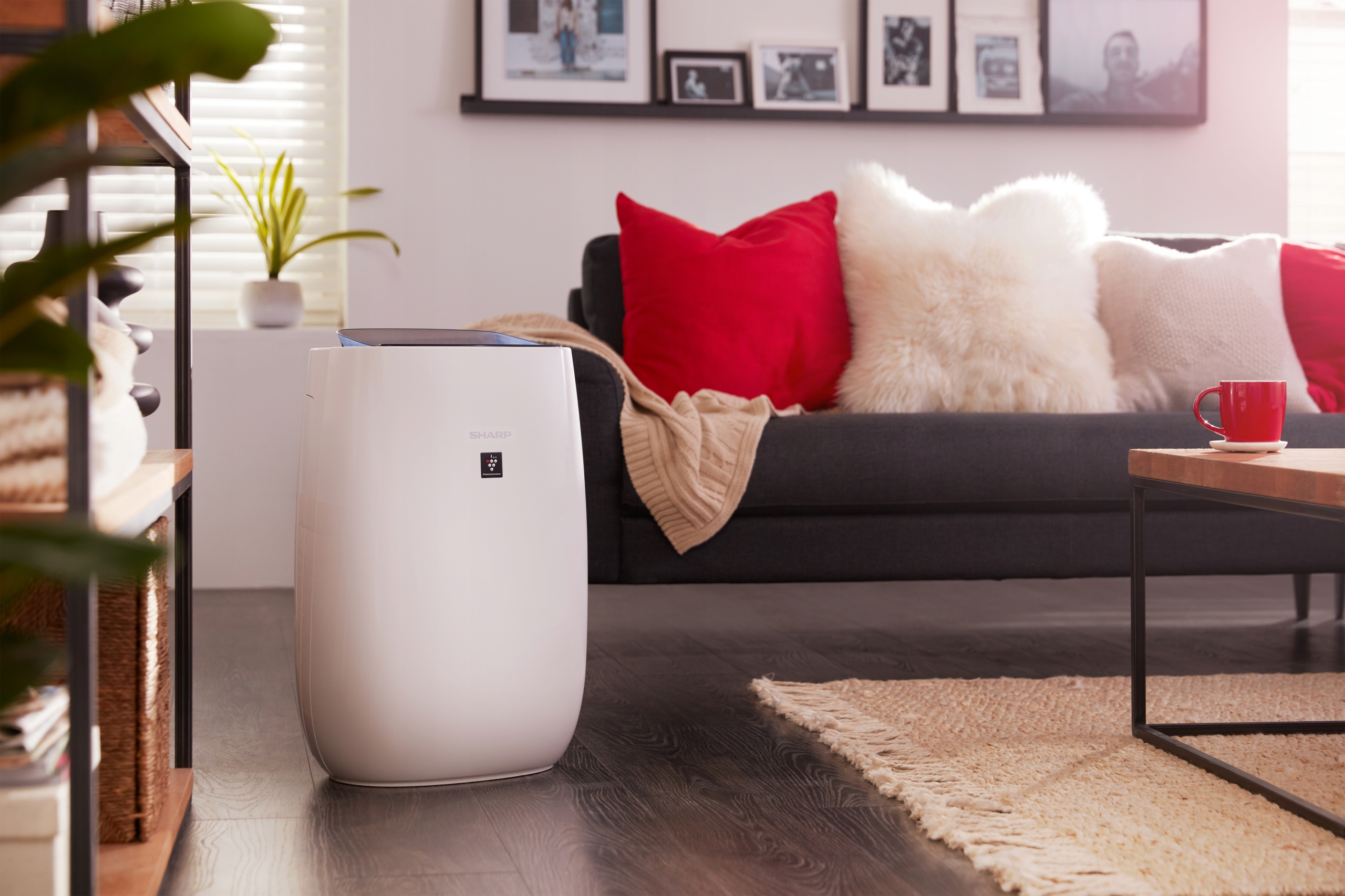 Oczyszczacz powietrza Sharp FPJ40EUW Marka Sharp