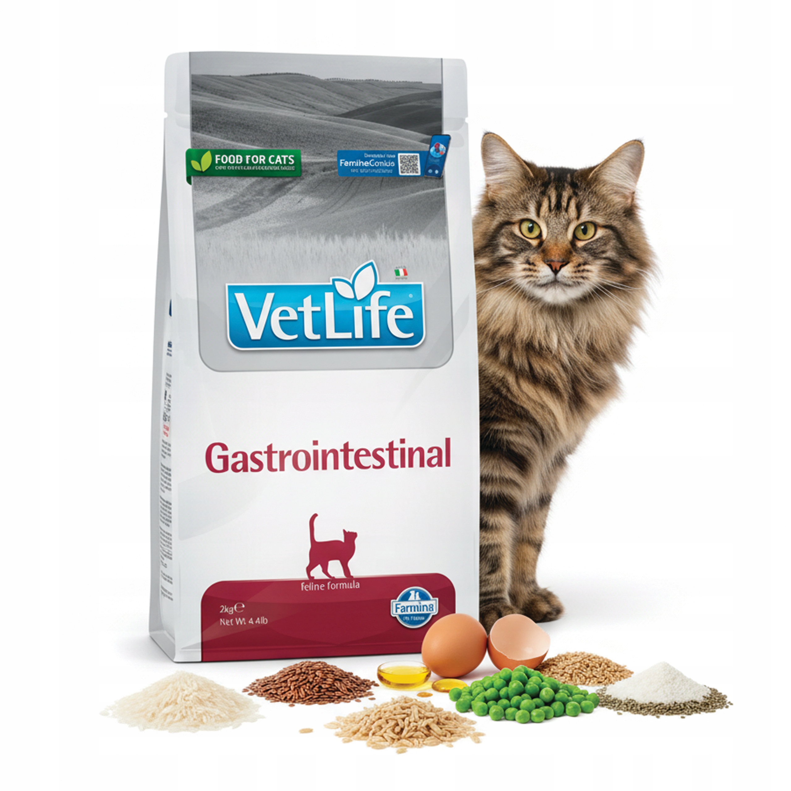Farmina Vet Life Gastrointestinal 2kg dla kota