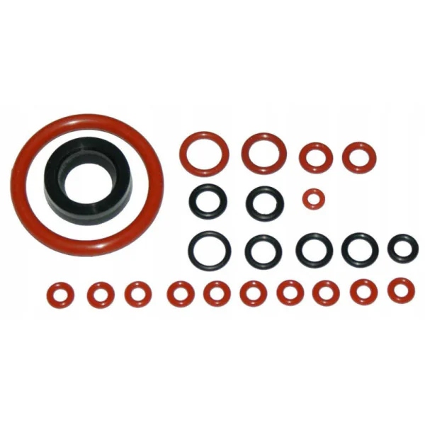 Saeco uszczelka zaparzacz Sbs nr 61