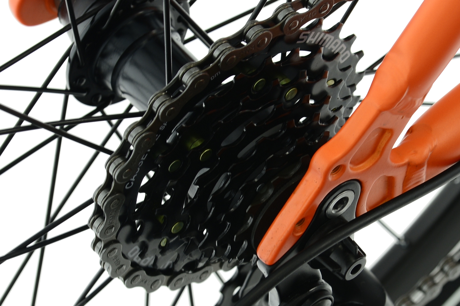 Rower Kands 24 Dragon r13