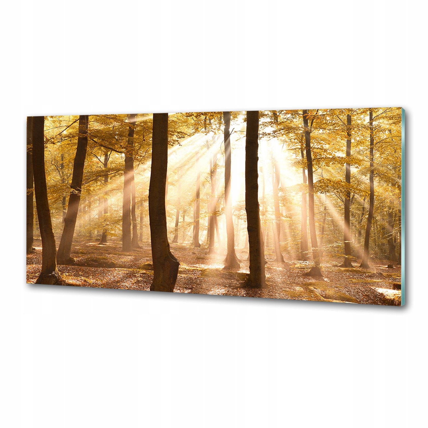 Panel dekor sklo Les na jeseň 125x50 cm Lepidlo
