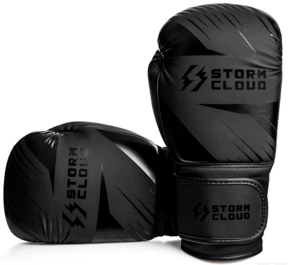 Boxerské rukavice Storm Cloud Lynx 2.0 10oz