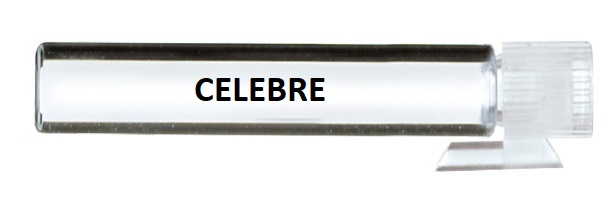 AVON PRÓBKA ZAPACHU DLA NIEJ * CELEBRE