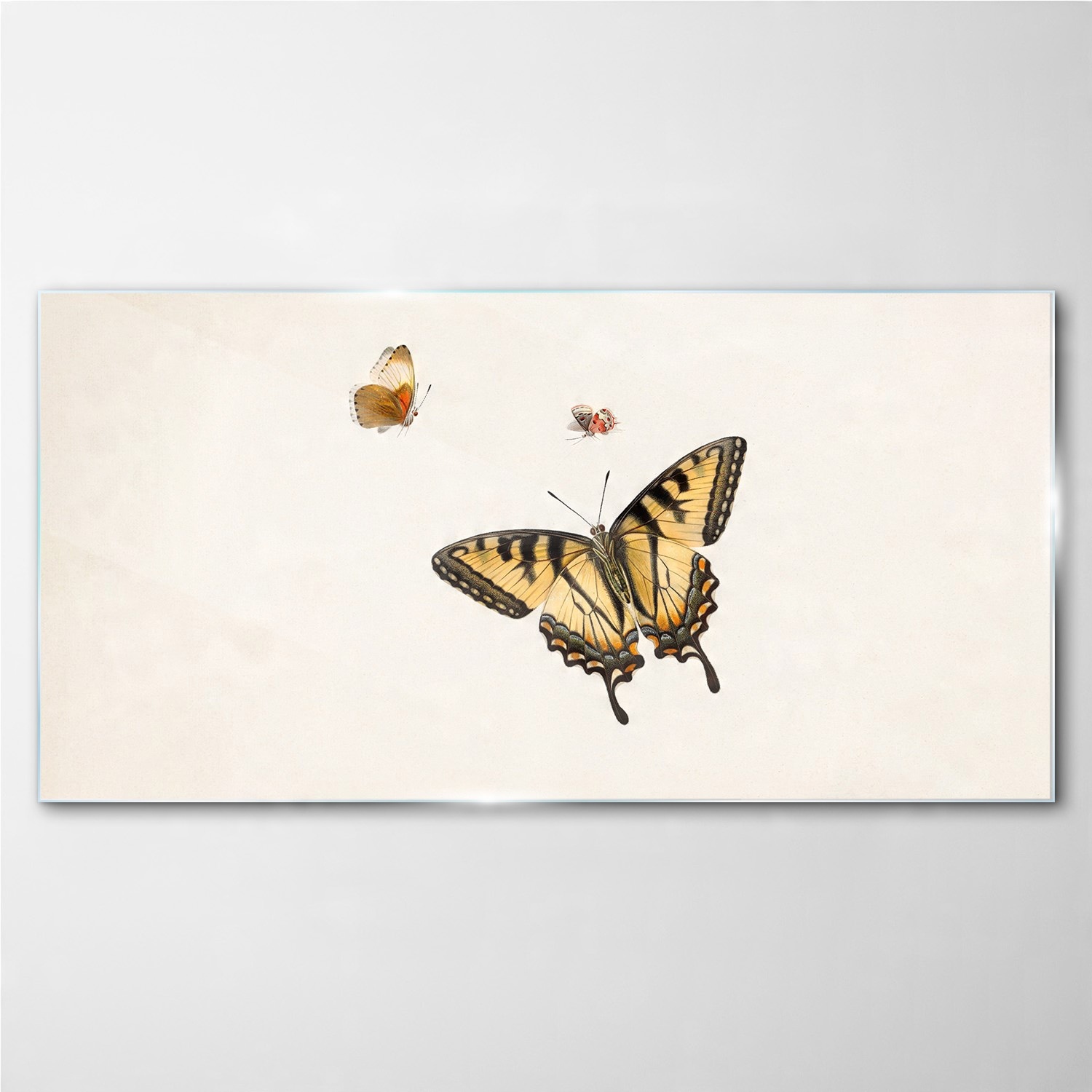 

Fotoobraz szklany na ścianę Owad motyl 100x50 cm