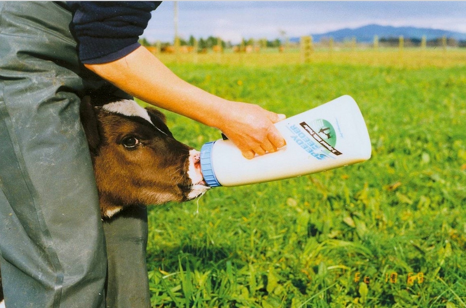 Láhev Na Rychlé Krmení Feeder Telat 2,5 L Kerbl