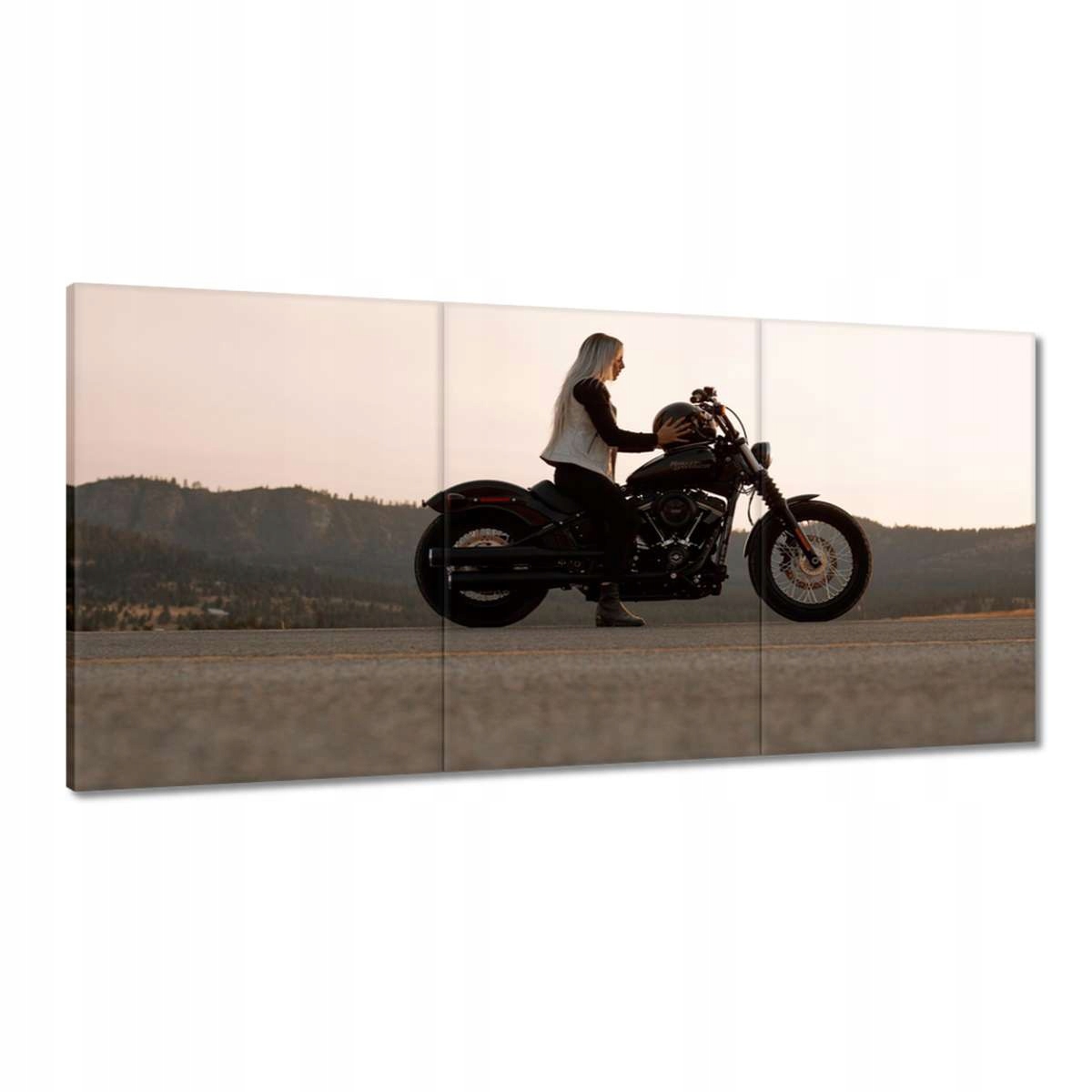 Obrazy 180x90 Harley Davidson Motocykel