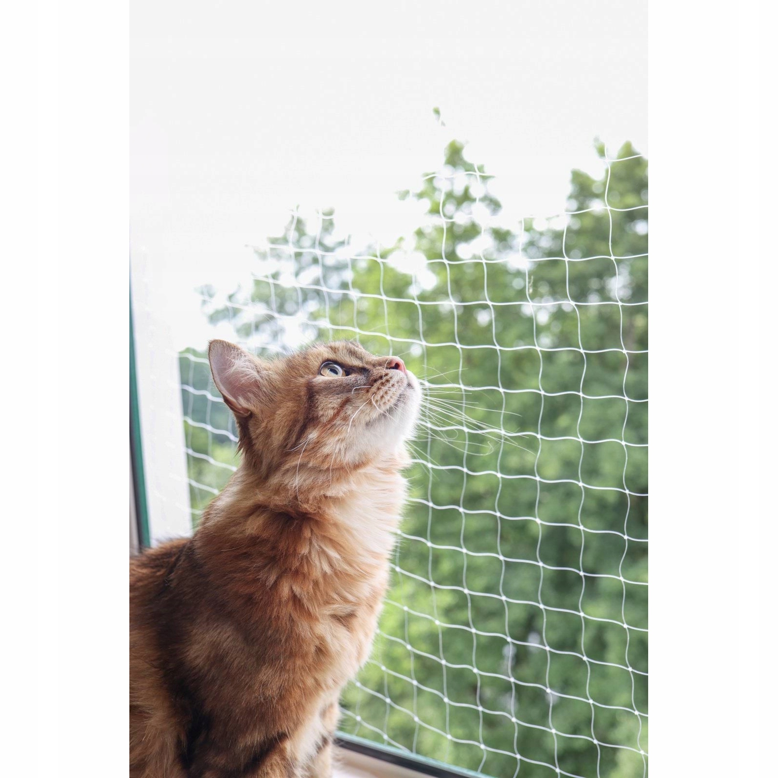 Bezpečnostní síť do okna, 6 x 3 m, průhledná, Kerbl