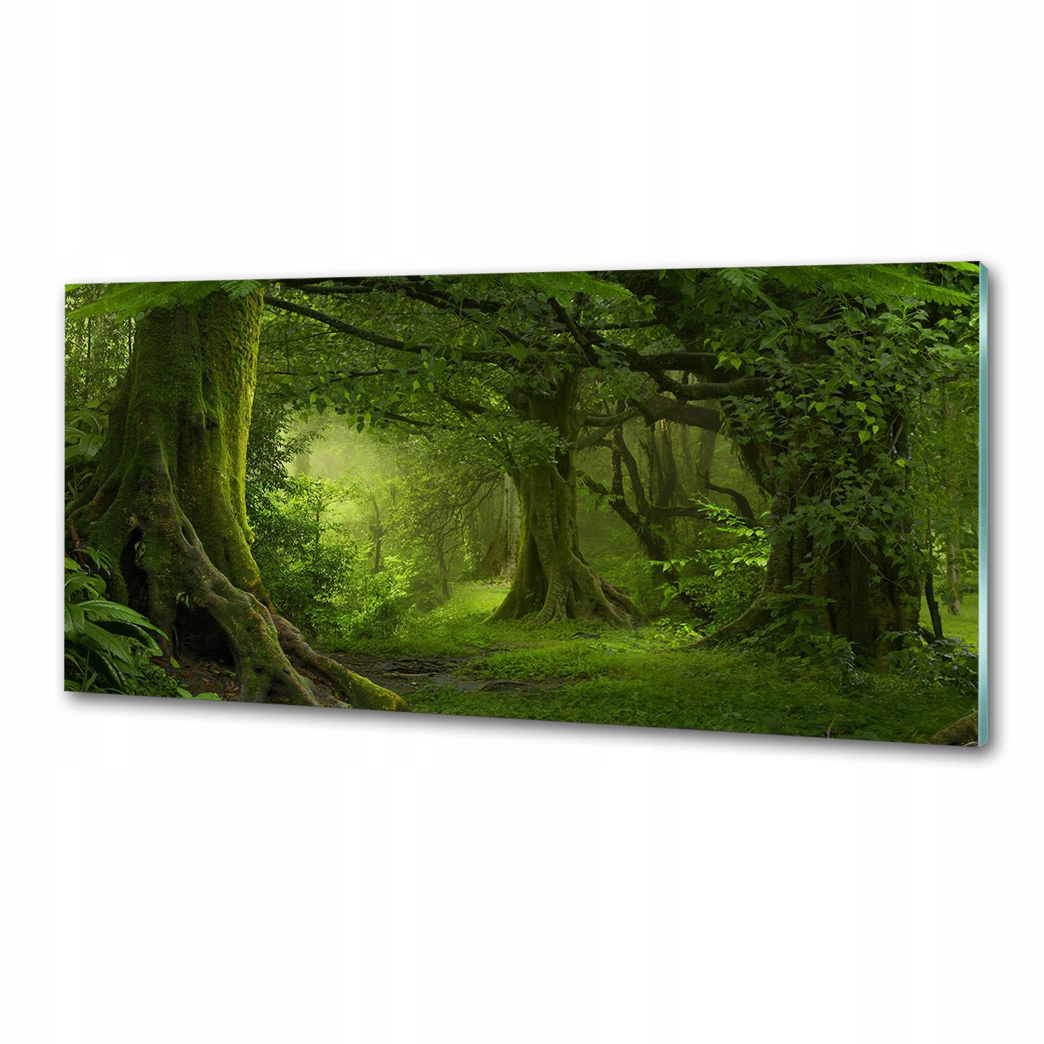 Panel do kuchyne Tropická džungľa 125x50 Lepidlo