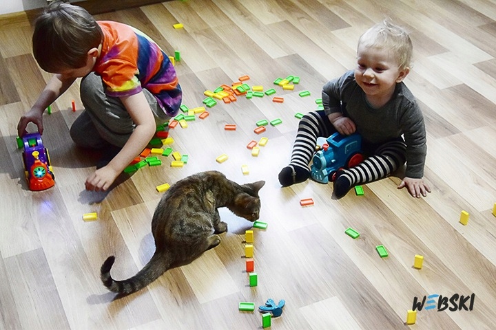 ZABAWKA DLA DZIECI CIUCHCIA NA BATERIE Z KLOCKAMI Wiek dziecka 3 lata +