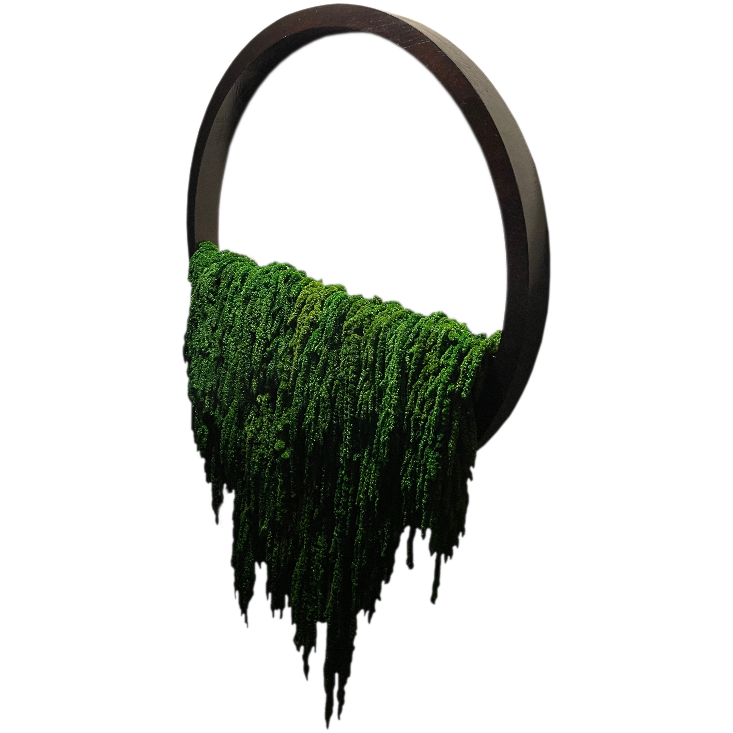 Obraz s amaranthusem stabilizovaným kolem 30 cm