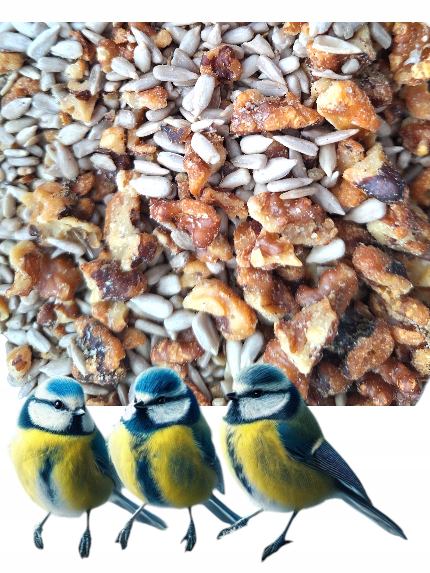 slunečnicová semínka loupaná ořech 10 kg krmivo pro divoké ptáky Bonus 5 Kul