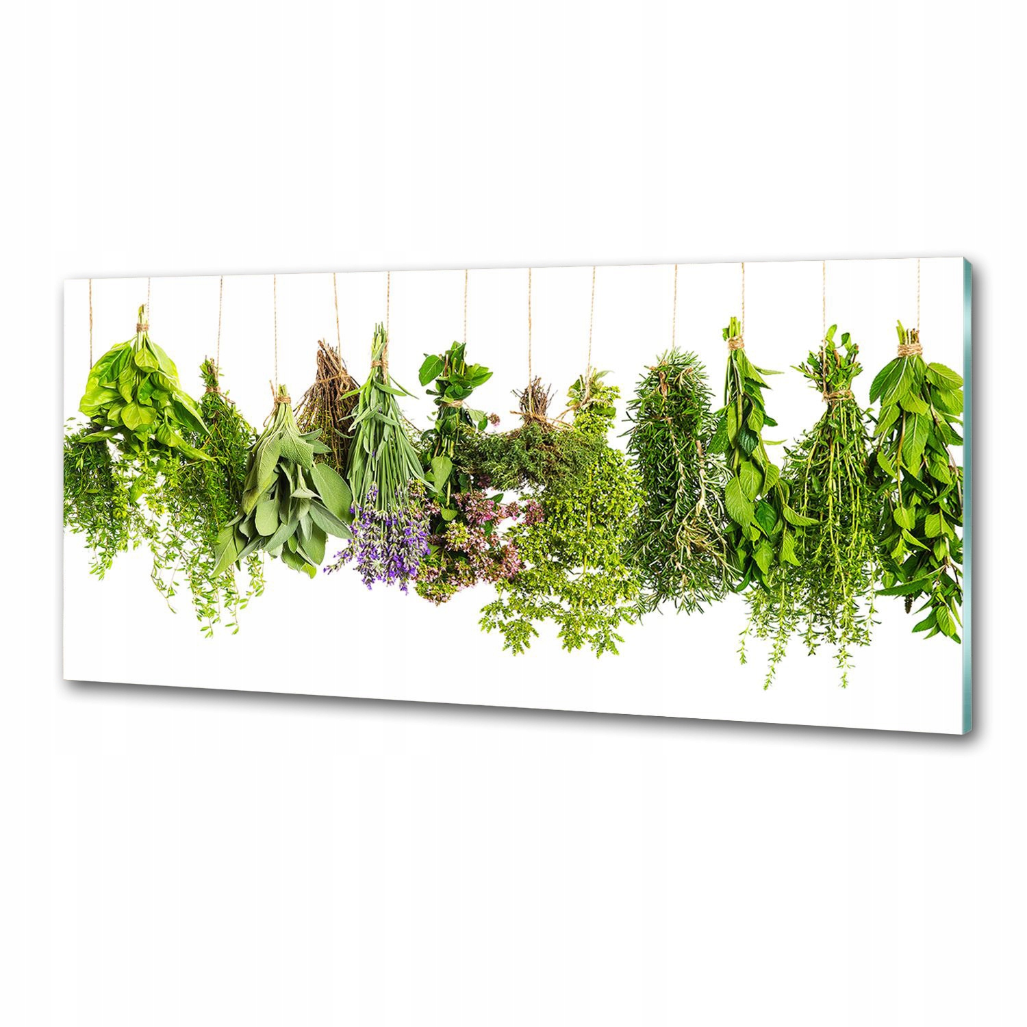 Panel do kuchyne Bylinky na šnúrke 125 x 50 cm Lepidlo