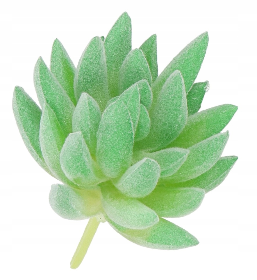 

Sukulent Sukulenty Mini Kaktus Sztuczne Kwiaty