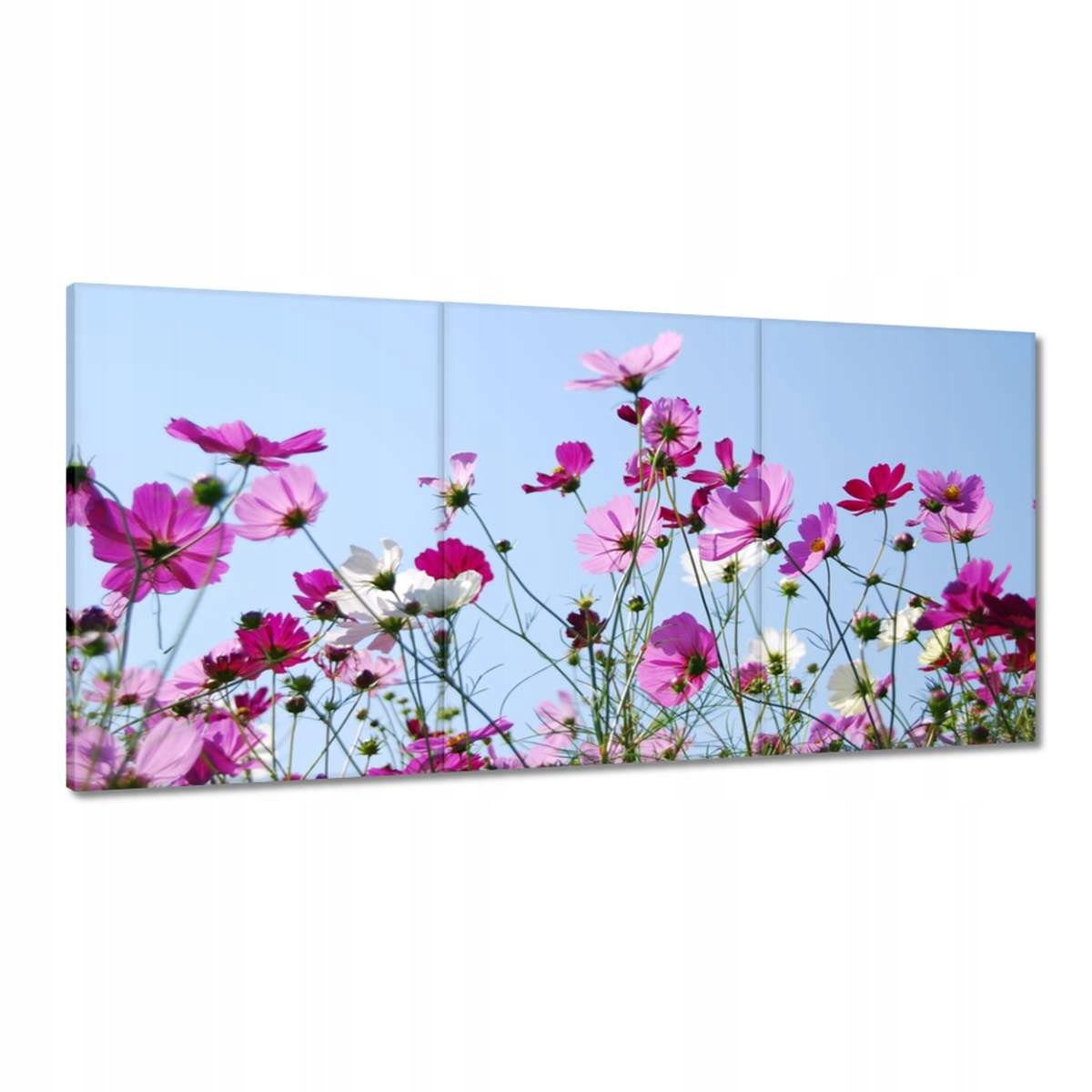 Obrazy 120x60 Louka s květinami