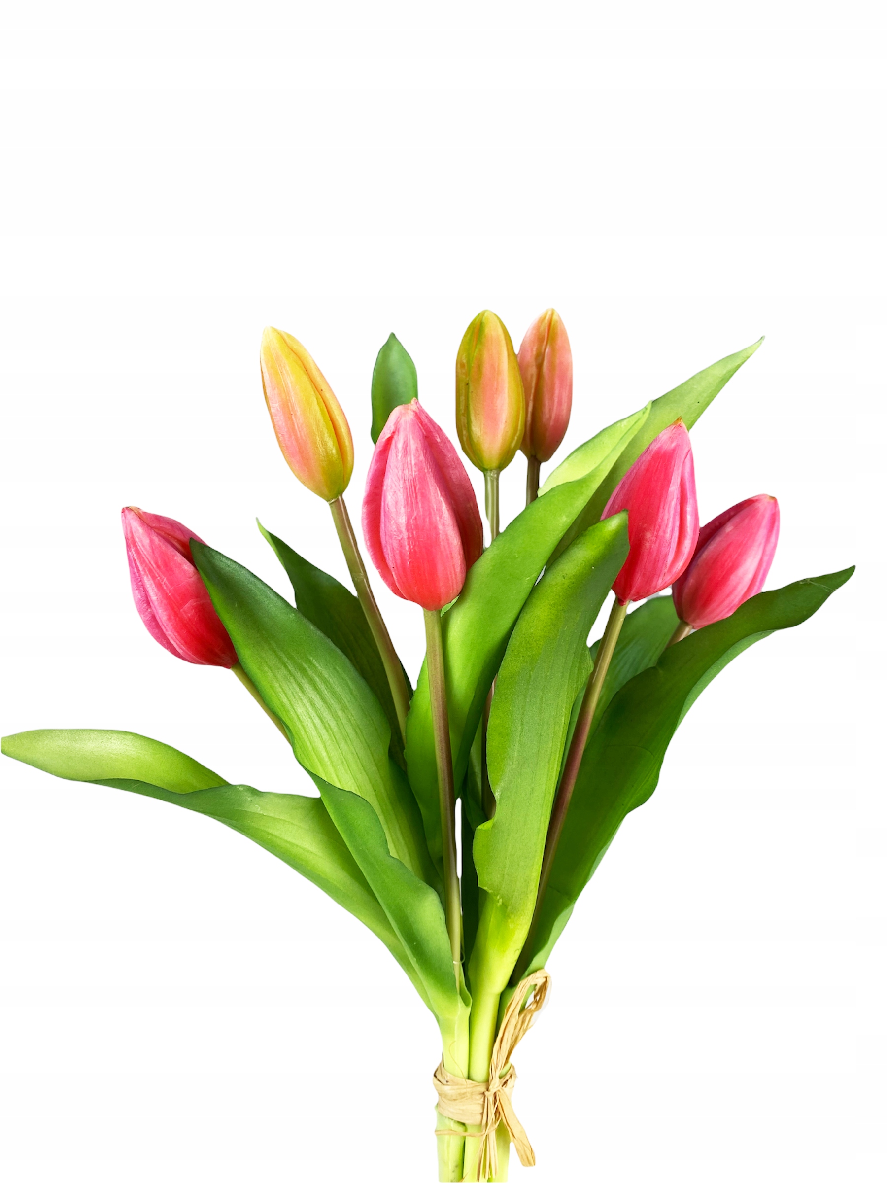 

Bukiet Tulipanów 7 Tulipany Gumowane Malinowe Róż