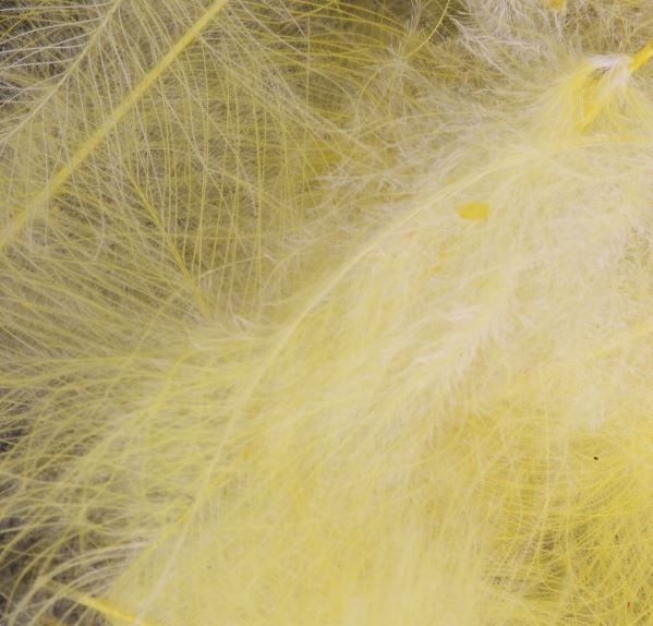 CDC Jambo Pack 1g Pale Yellow