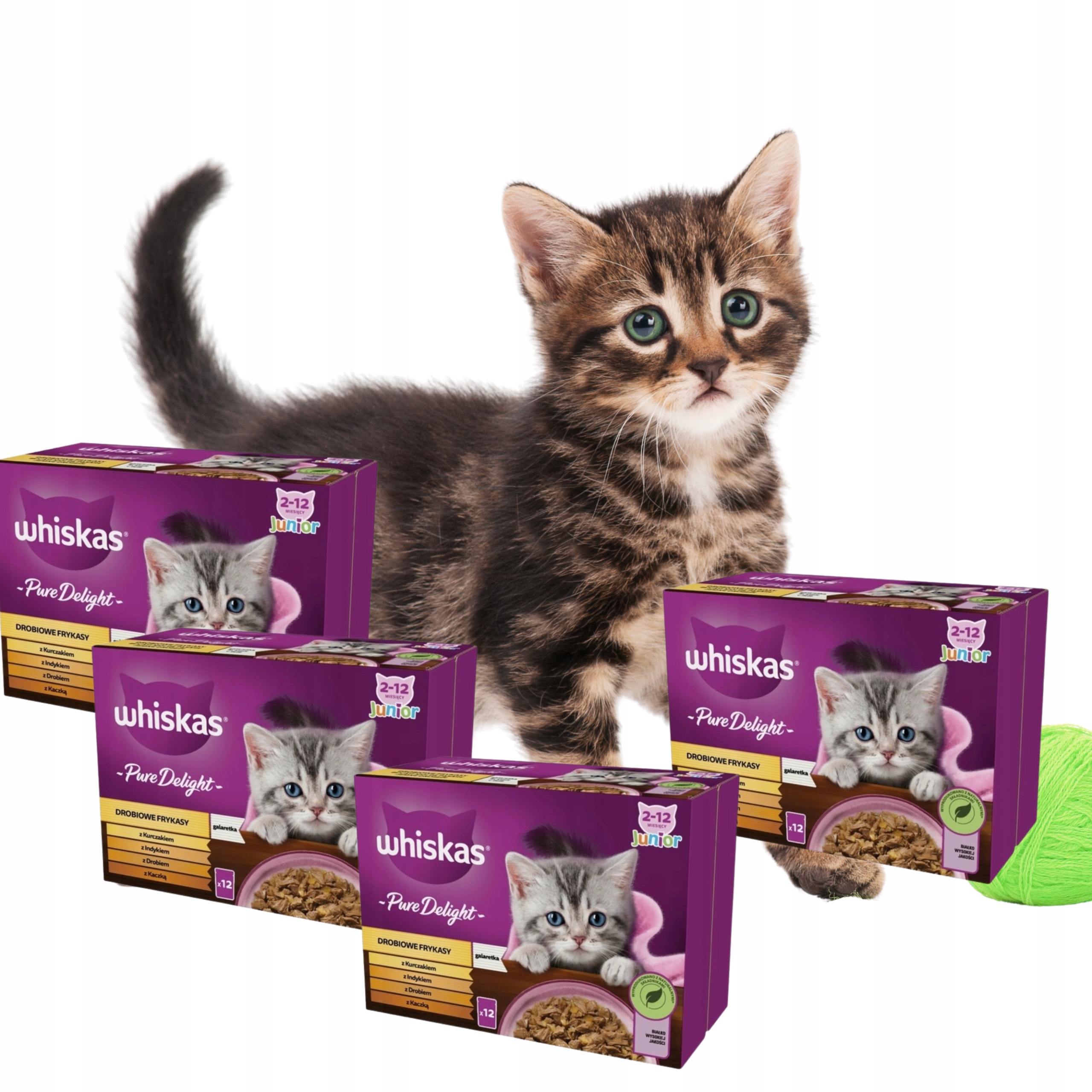 Zestaw Whiskas Saszetka Drobiowe Frtkasy Junior 84x85g kociak box