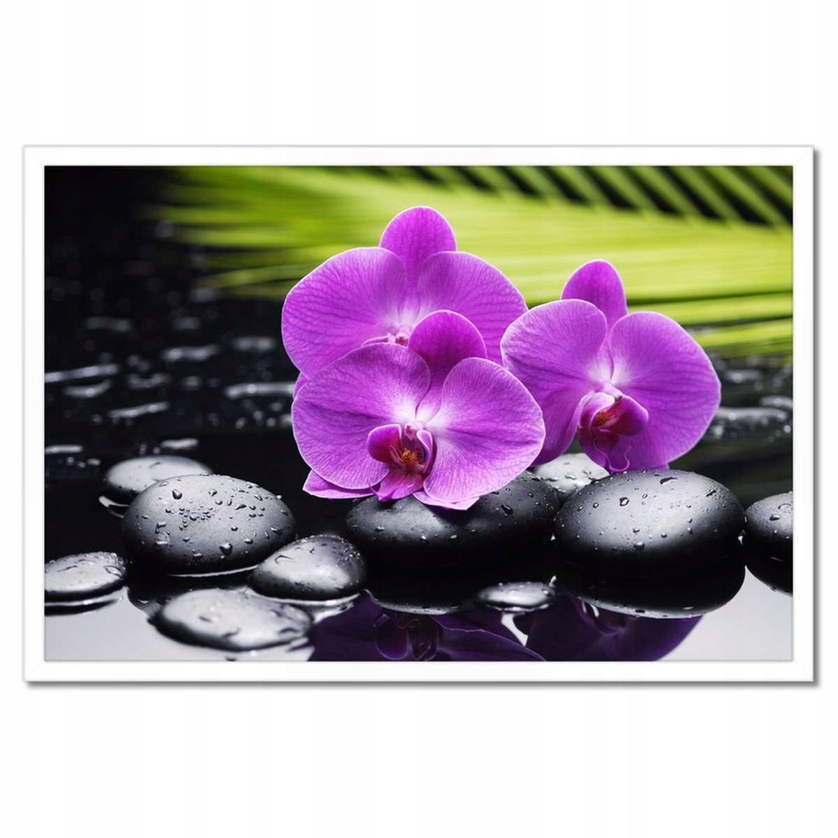 Plakáty v rámu 60x40 Orchidej na kamenech