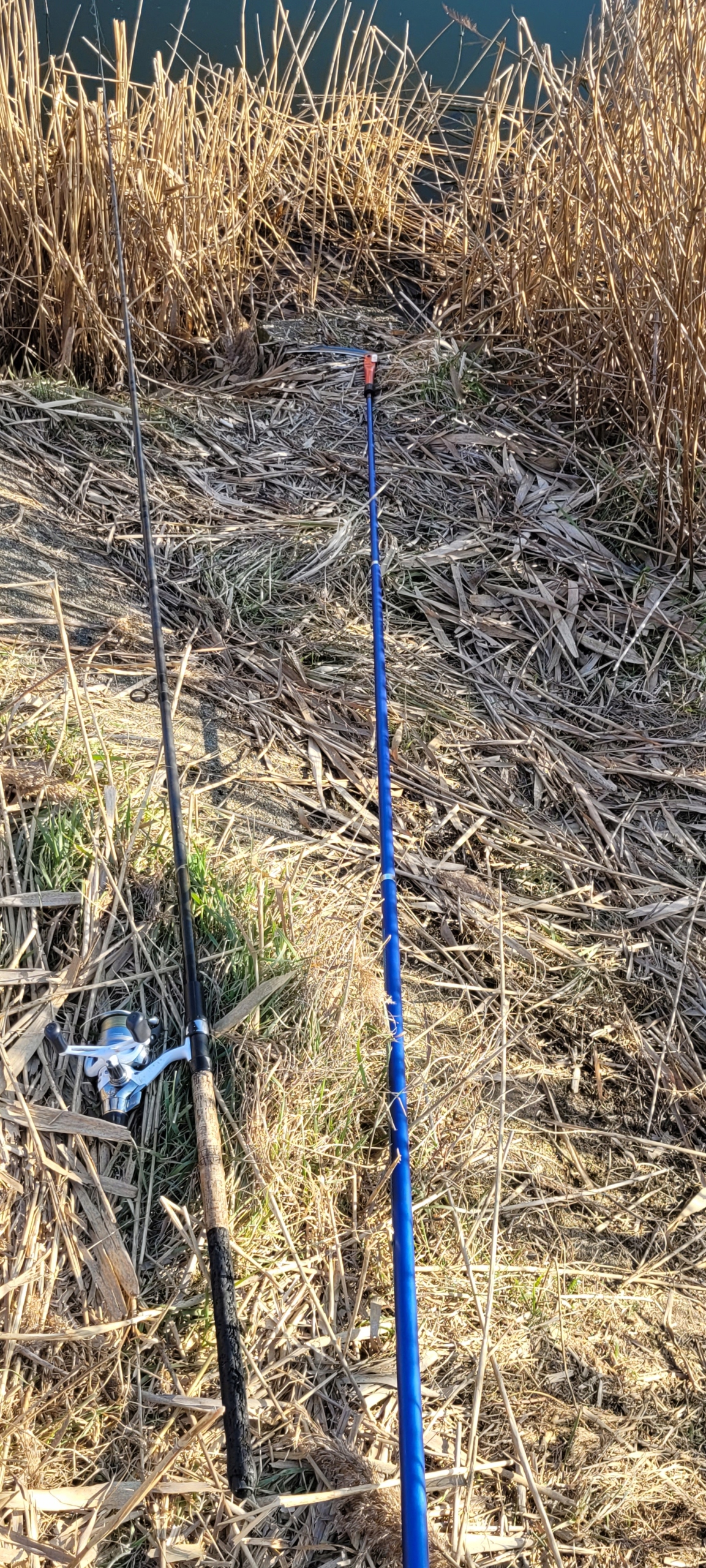 KOSA z gwintem na Sztycę do podbieraka - Daleki Zasięg Cięcia Rodzaj główka do podbieraka