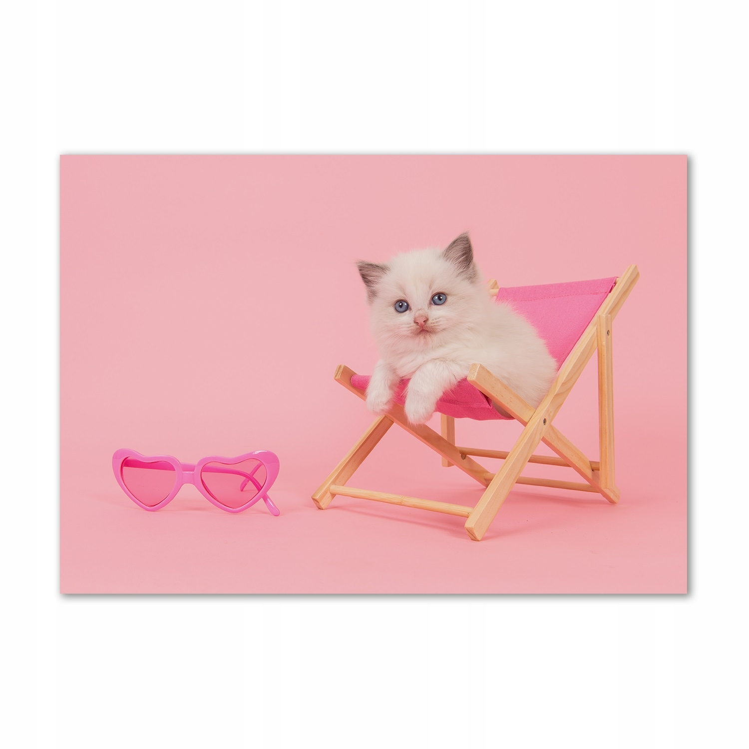 

Foto-obraz szkło hartowane Kot na leżaku 100x70