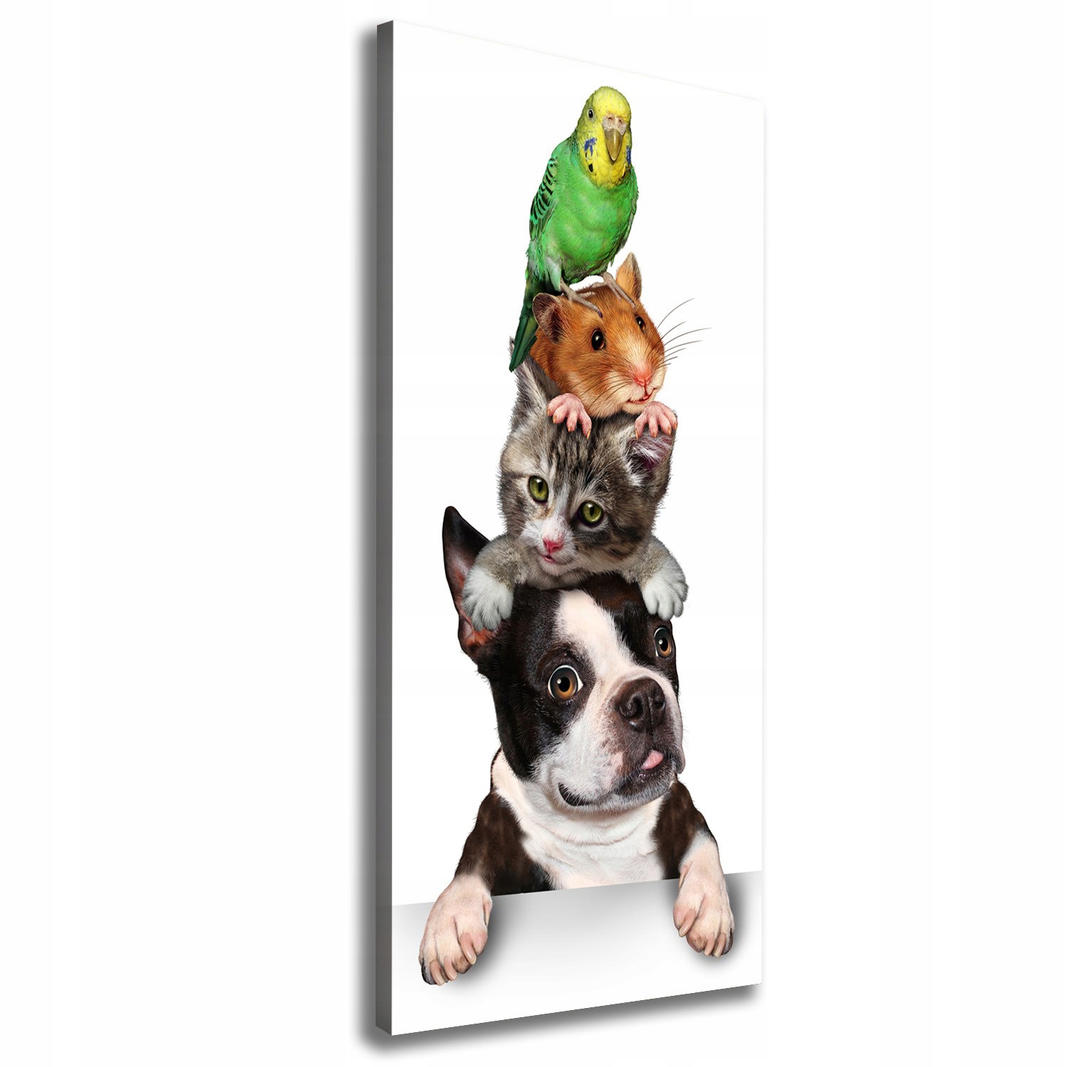

Foto obraz na płótnie Zwierzęta domowe 50x125 cm