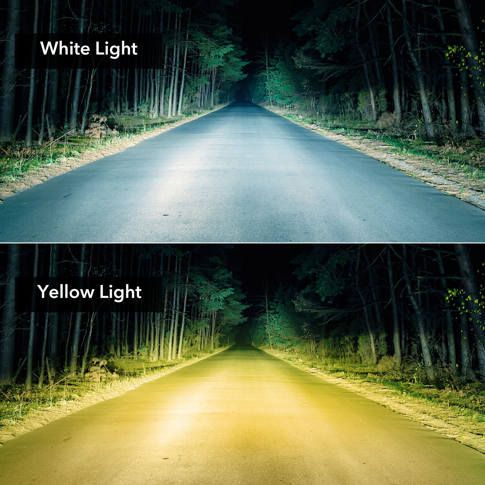 REFLEKTORY REFLEKTOROWE DO REFLEKTORA Z OSŁONĄ Typ samochodu Niezdefiniowany