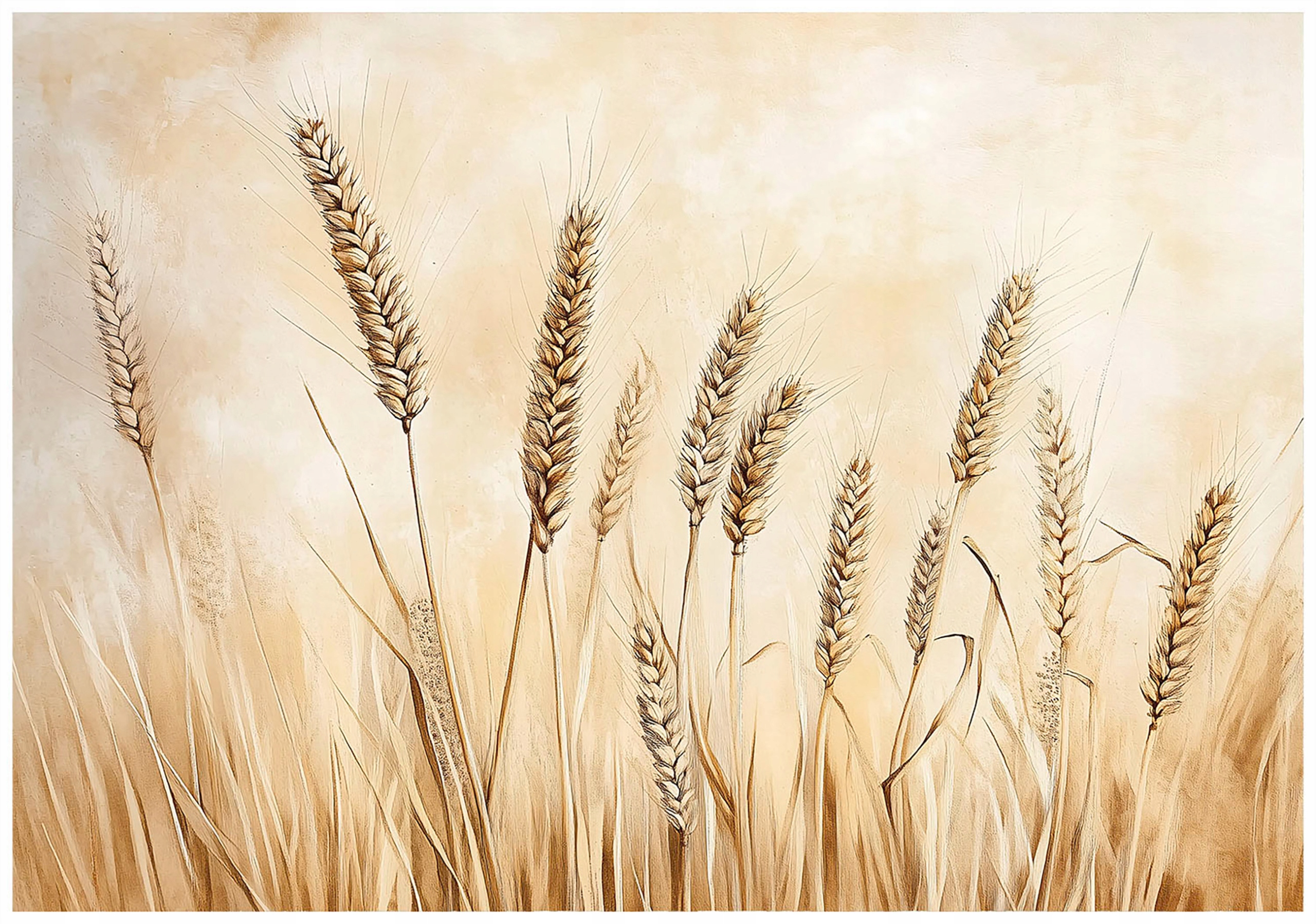 Fototapeta Na Flizeline Béžová Pole Boho XXL Tapeta Na Stenu 400x280