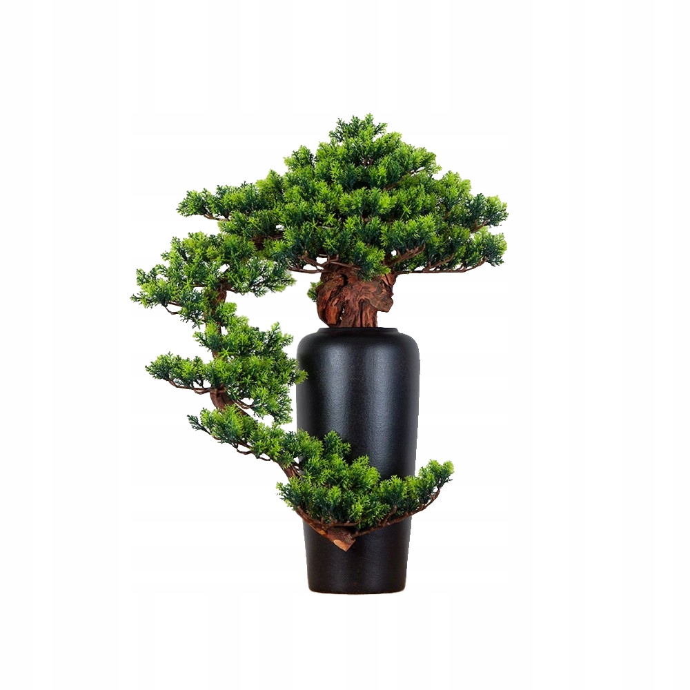 Pokojová dekorativní bonsai ve váze Borovice (PN-20)