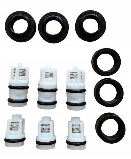 Zestaw naprawczy pompy uszczelnienia tłoczki myjka MacAllister Titan 100b
