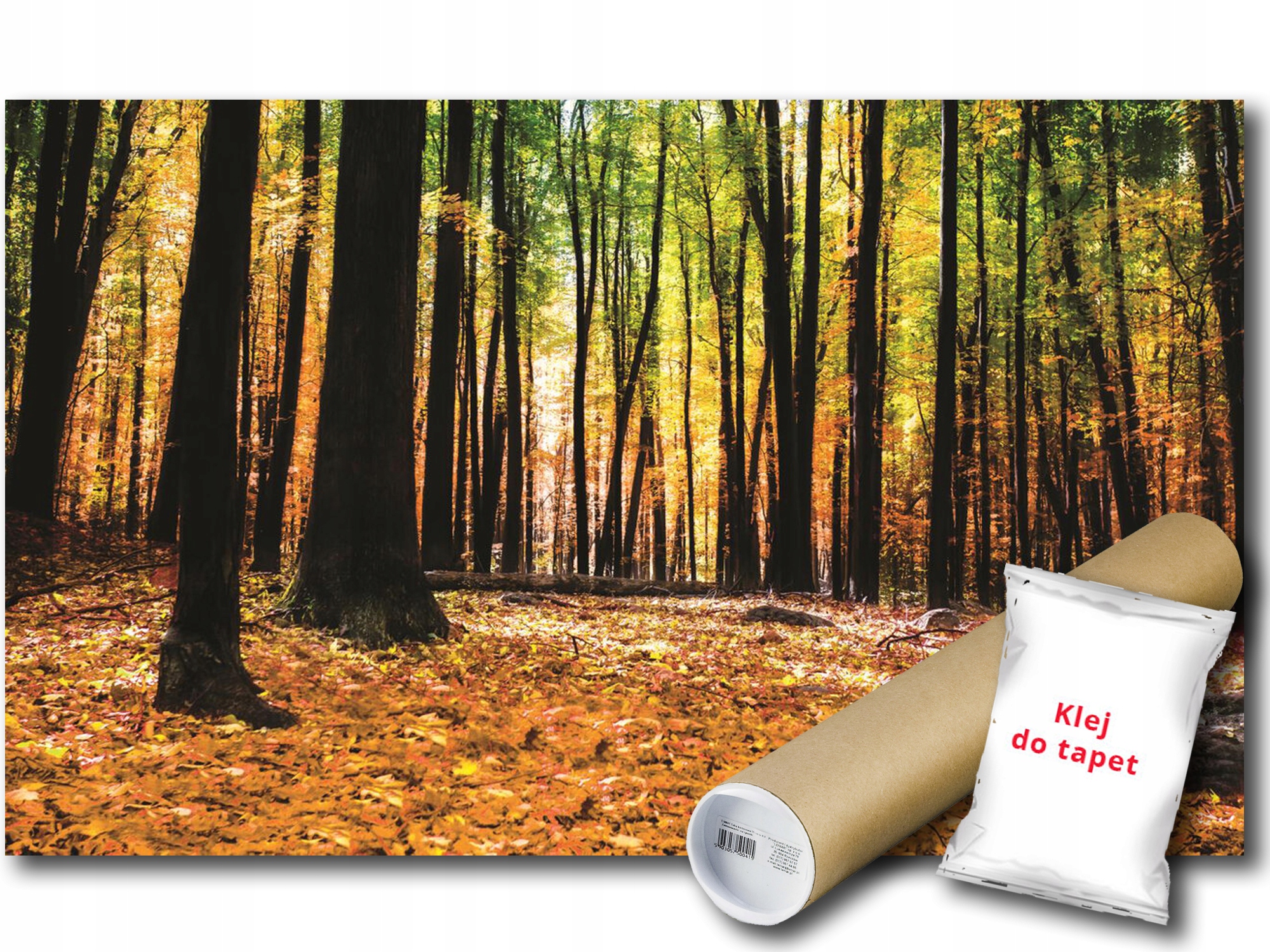 Vinylová Fototapeta Park Les Stromy Listy Jeseň Krajina Výhľad 312x219