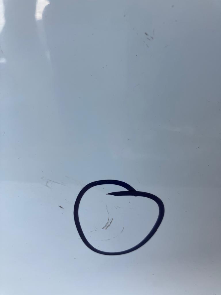door left front RENAULT ZOE DV369