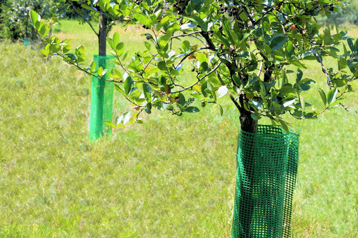 Siatka Rabatowa Ogrodzeniowa Plastikowa 80cm Nova Materiał tworzywo sztuczne
