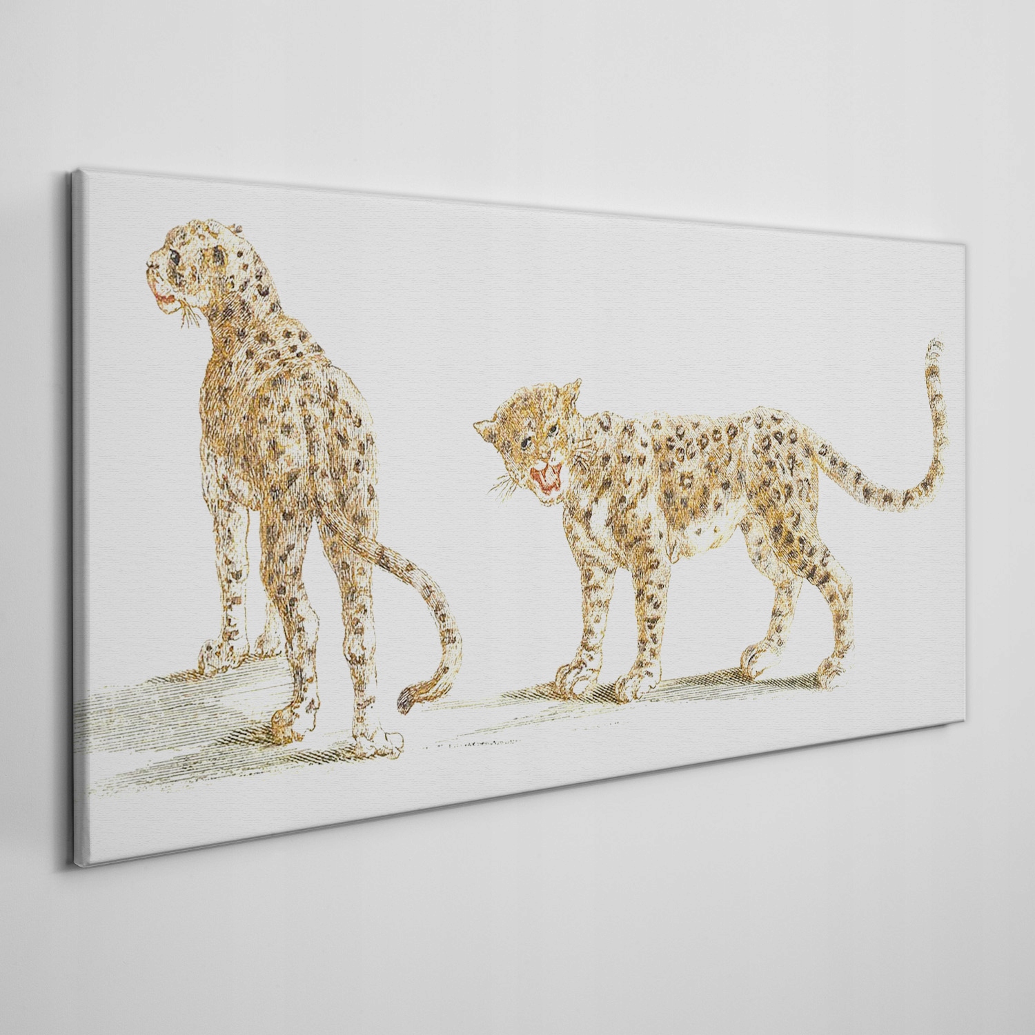 

Obraz na płótnie Zwierzęta koty lamparty 120x60 cm