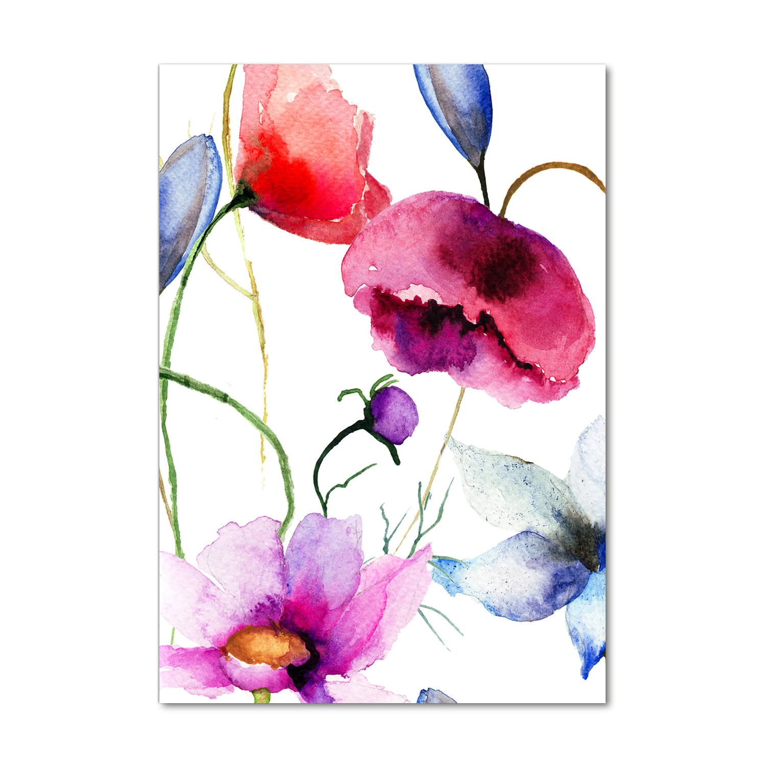 

Nowoczesny obraz zdjęcie na akrylu Maki 70x100cm