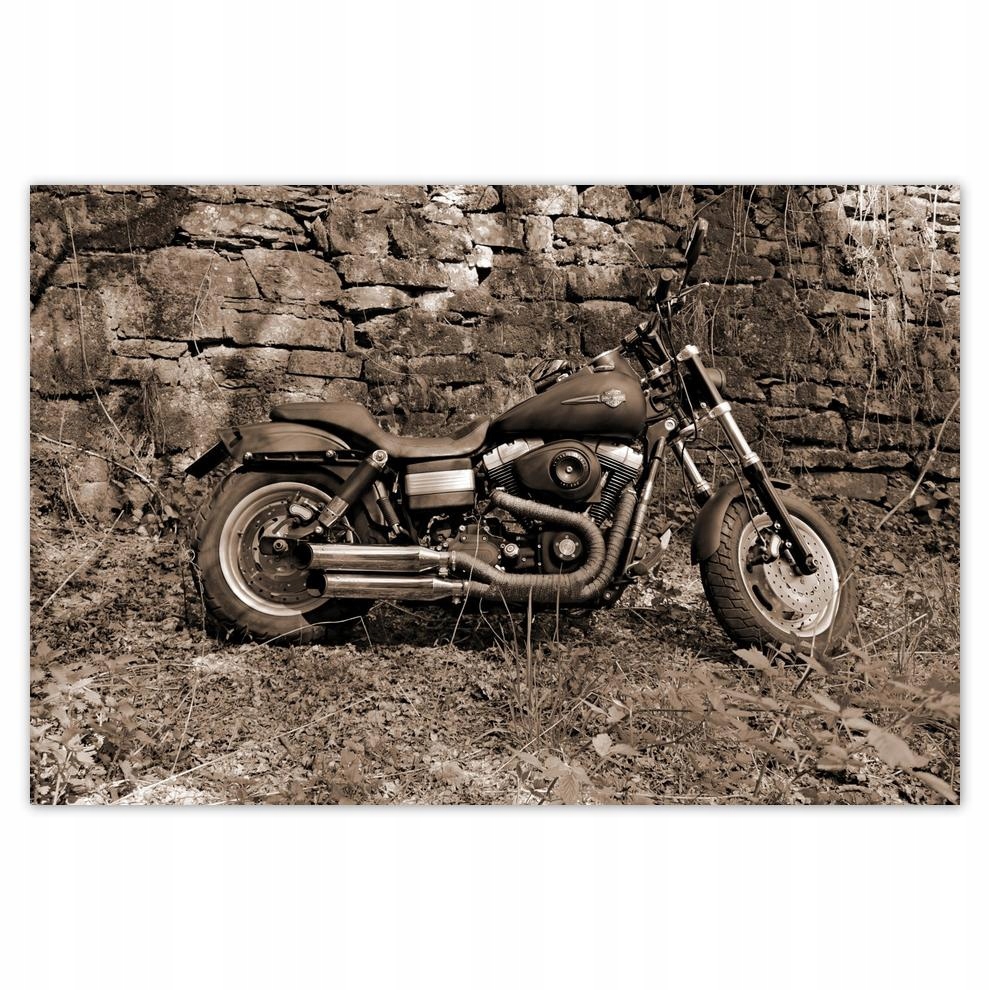 

Plakaty 60x40 Harley Davidson Motocykl