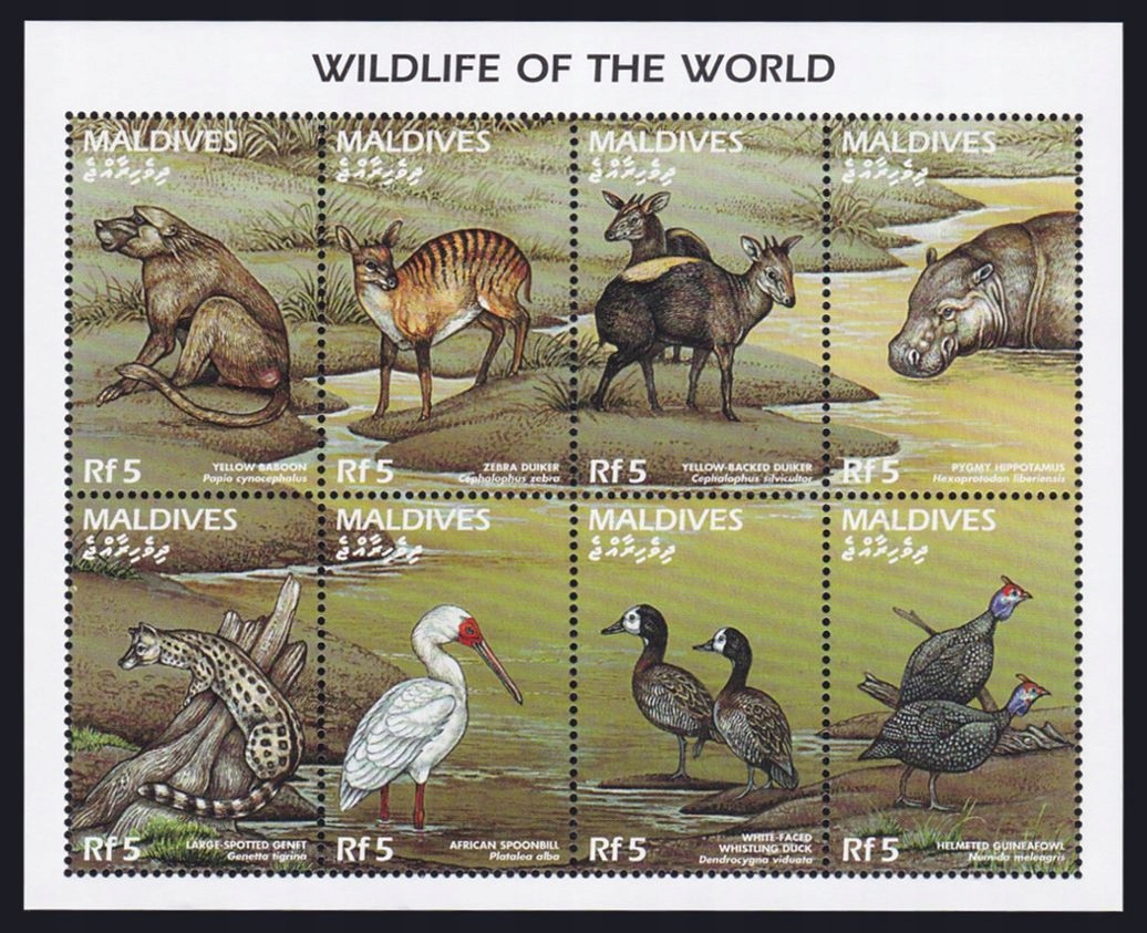 MALDIVES - PTAKI - FAUNA - 1996 r. - MNH(**)