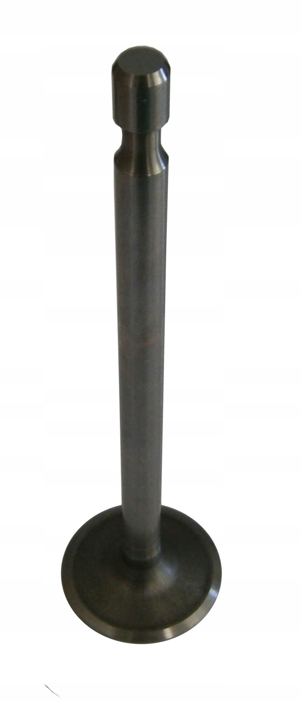 

Zawór Ssący Briggs 262247S