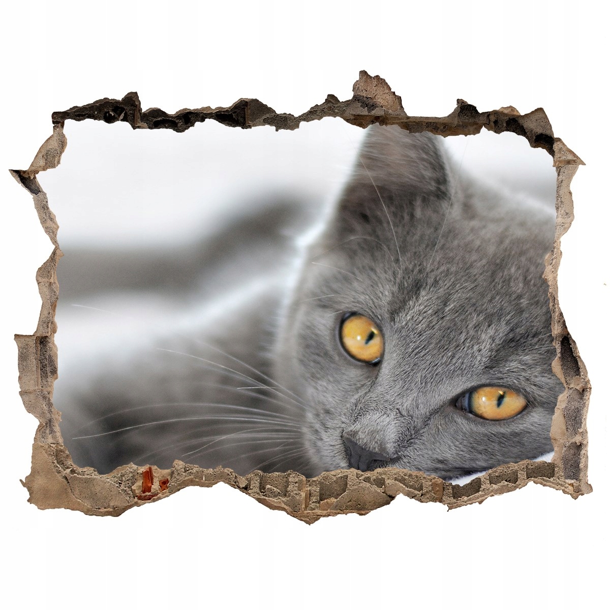 

Dziura 3d fototapeta Naklejka Szary kot 168x113