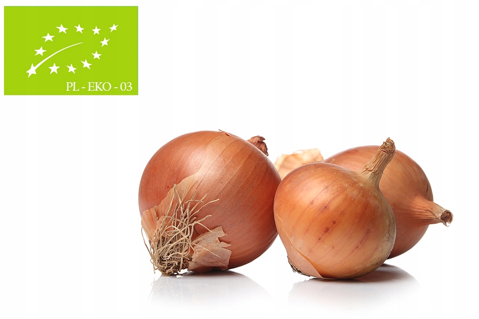 Ekologiczna cebula z Małopolski 10kg